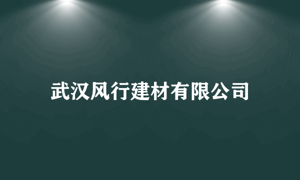 武汉风行建材有限公司