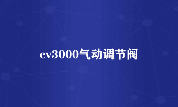 cv3000气动调节阀