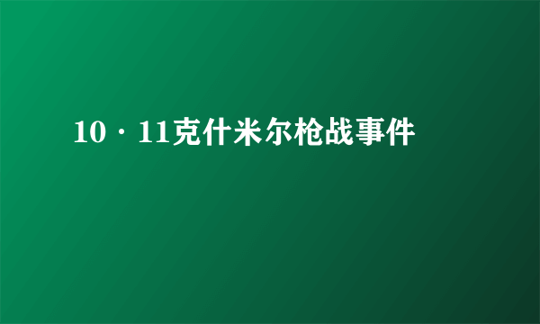 10·11克什米尔枪战事件