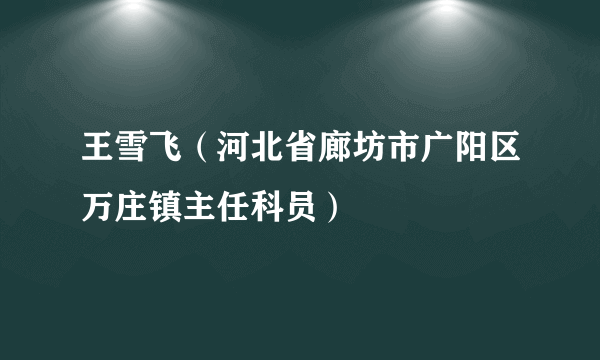 王雪飞（河北省廊坊市广阳区万庄镇主任科员）