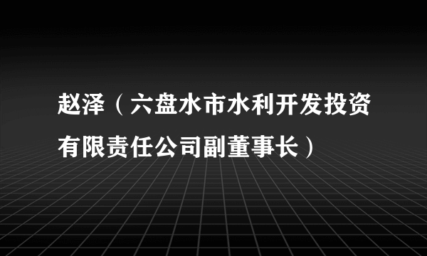 赵泽（六盘水市水利开发投资有限责任公司副董事长）