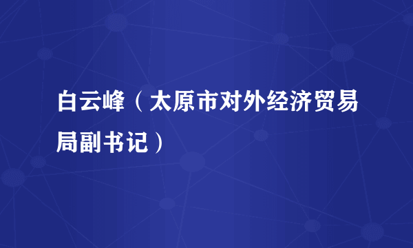 白云峰（太原市对外经济贸易局副书记）