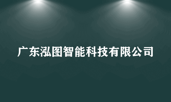 广东泓图智能科技有限公司