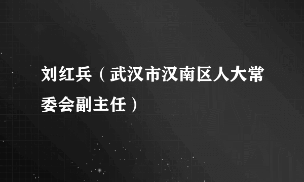 刘红兵（武汉市汉南区人大常委会副主任）