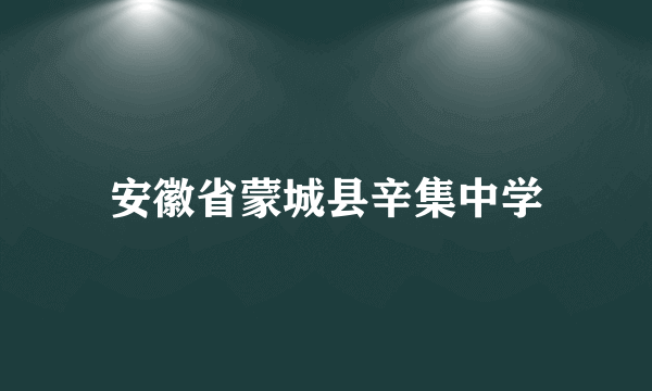 安徽省蒙城县辛集中学