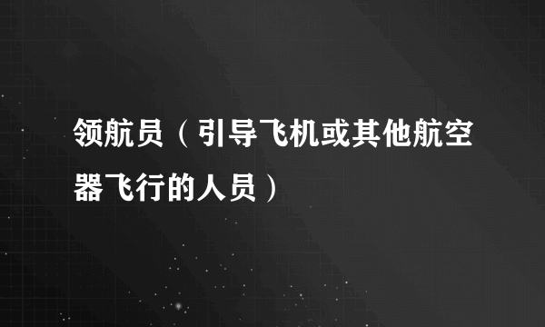 领航员（引导飞机或其他航空器飞行的人员）