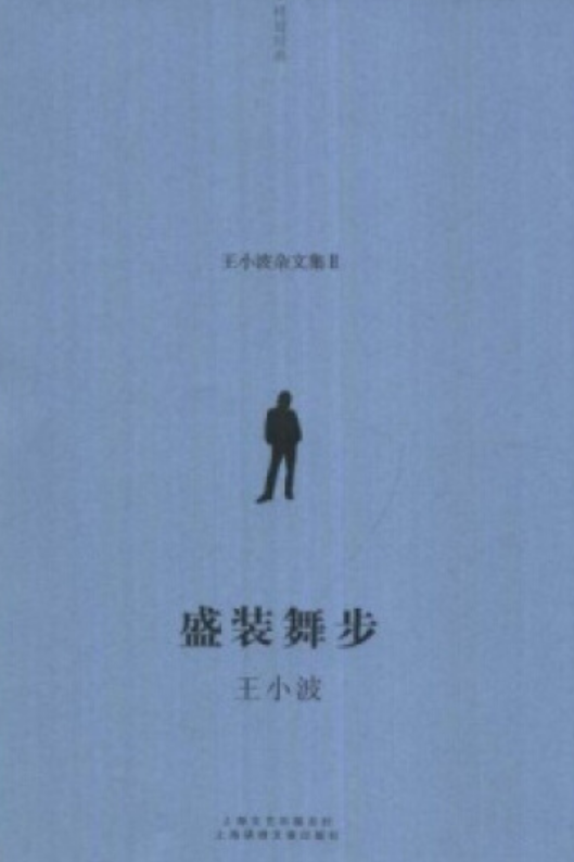 盛装舞步（2008年上海锦绣文章出版社出版的图书）