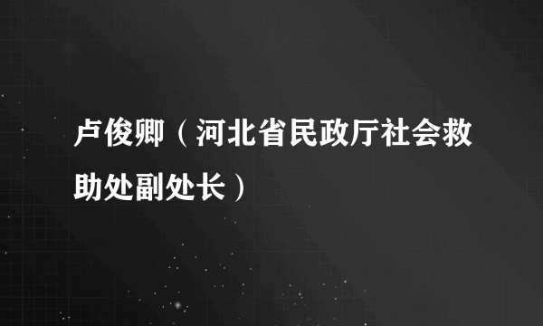 卢俊卿（河北省民政厅社会救助处副处长）