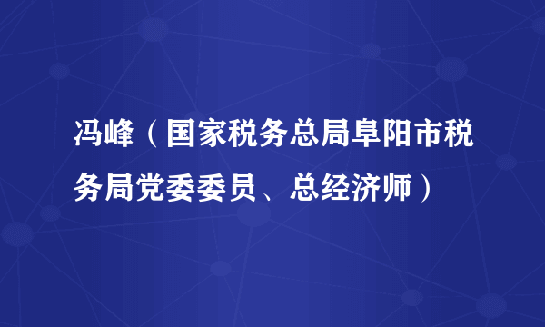 冯峰（国家税务总局阜阳市税务局党委委员、总经济师）