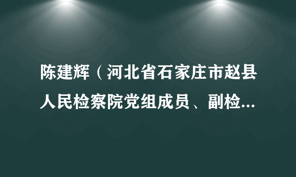 陈建辉（河北省石家庄市赵县人民检察院党组成员、副检察长，四级高级检察官）