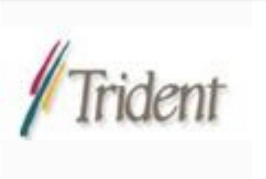 Trident（泰鼎多媒体技术有限公司）