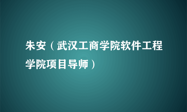 朱安（武汉工商学院软件工程学院项目导师）