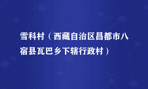 雪科村（西藏自治区昌都市八宿县瓦巴乡下辖行政村）