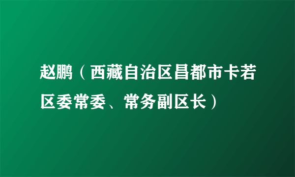 赵鹏（西藏自治区昌都市卡若区委常委、常务副区长）