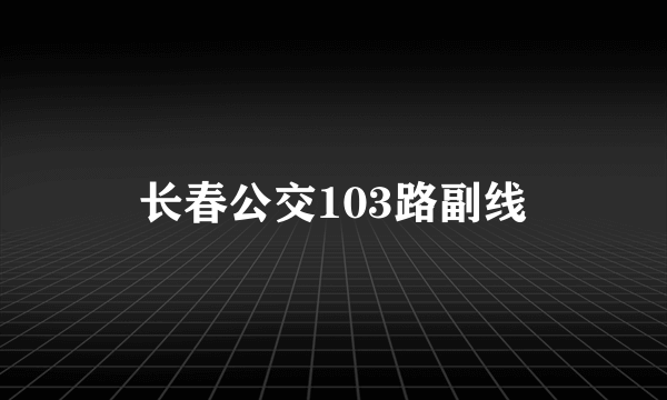 长春公交103路副线