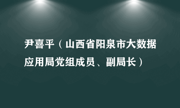 尹喜平（山西省阳泉市大数据应用局党组成员、副局长）