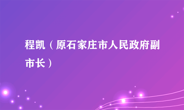 程凯（原石家庄市人民政府副市长）