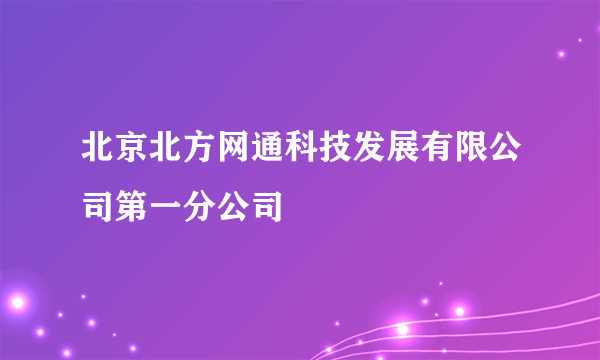 北京北方网通科技发展有限公司第一分公司