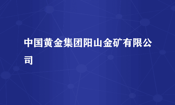 中国黄金集团阳山金矿有限公司