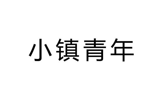 小镇青年（一类人群的总称）