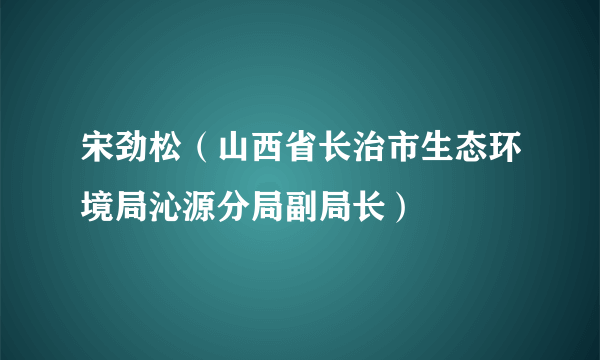 宋劲松（山西省长治市生态环境局沁源分局副局长）