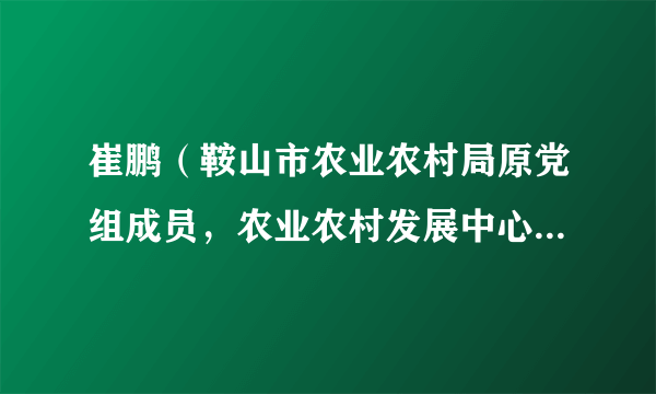 崔鹏（鞍山市农业农村局原党组成员，农业农村发展中心原党委书记、主任）