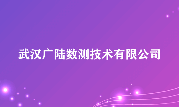 武汉广陆数测技术有限公司