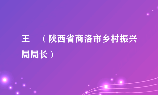 王璟（陕西省商洛市乡村振兴局局长）