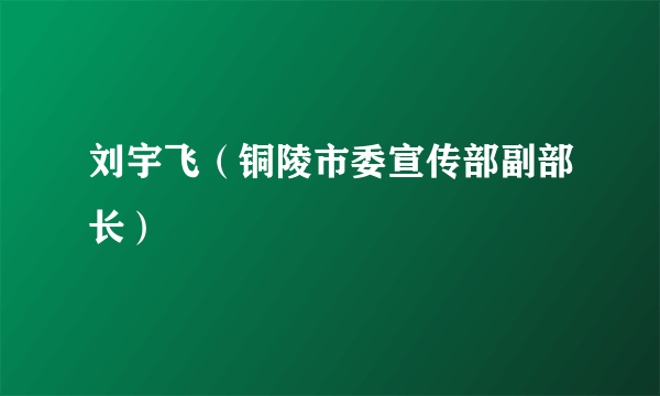 刘宇飞（铜陵市委宣传部副部长）