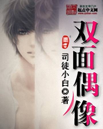 双面偶像（司徒小白创作的网络小说）