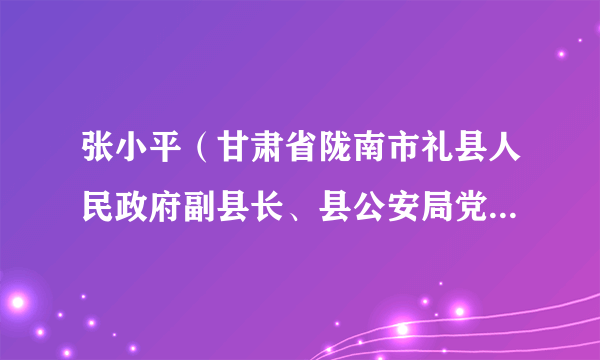 张小平（甘肃省陇南市礼县人民政府副县长、县公安局党委书记、局长）