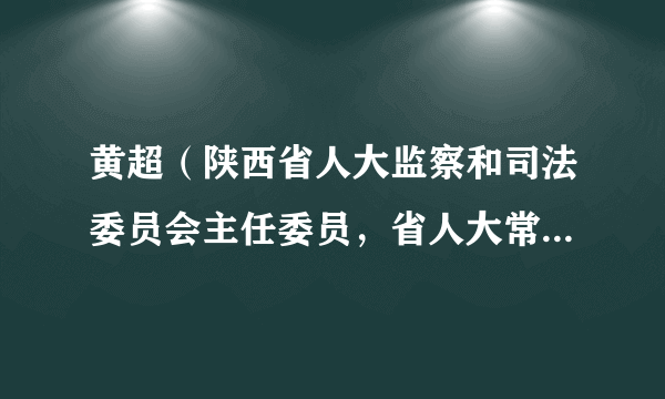 黄超（陕西省人大监察和司法委员会主任委员，省人大常委会监察和司法工作委员会主任）