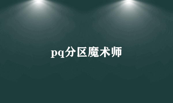 pq分区魔术师