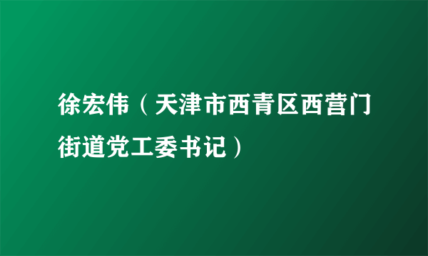 徐宏伟（天津市西青区西营门街道党工委书记）