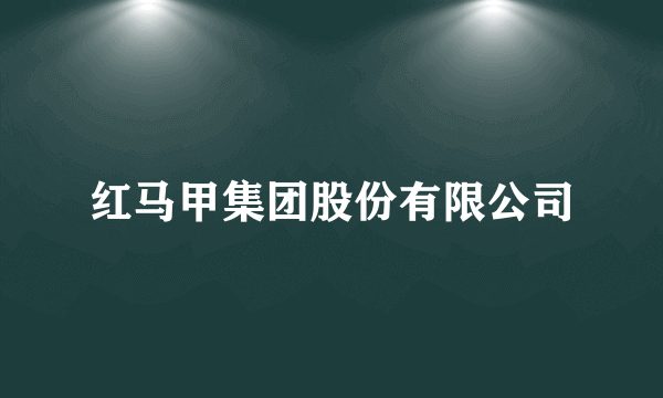 红马甲集团股份有限公司