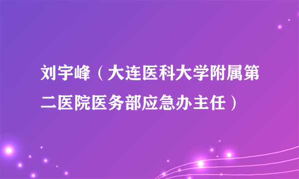 刘宇峰（大连医科大学附属第二医院医务部应急办主任）