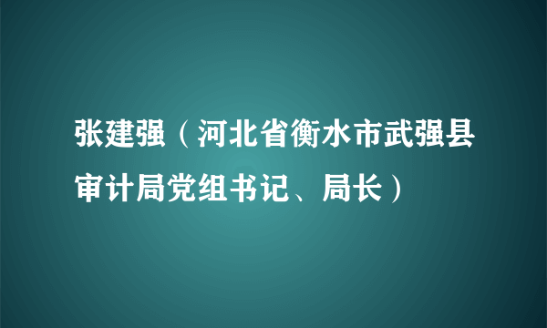 张建强（河北省衡水市武强县审计局党组书记、局长）