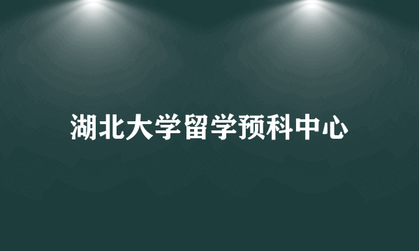 湖北大学留学预科中心