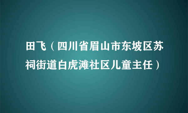 田飞（四川省眉山市东坡区苏祠街道白虎滩社区儿童主任）