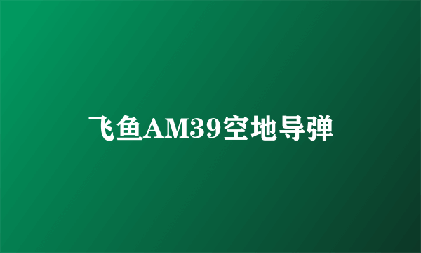 飞鱼AM39空地导弹