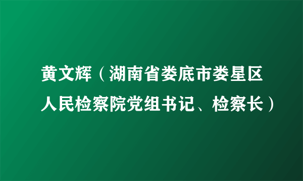 黄文辉（湖南省娄底市娄星区人民检察院党组书记、检察长）