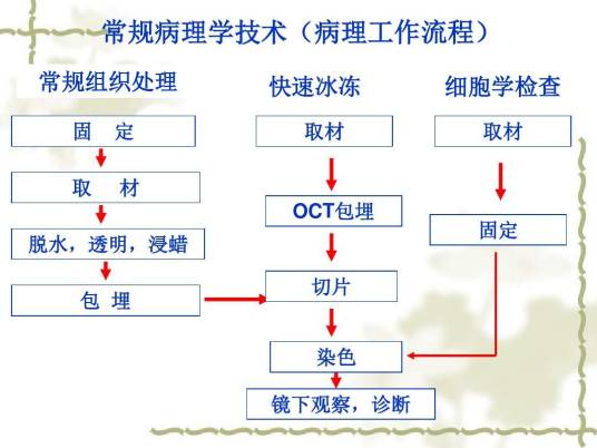 病理技术