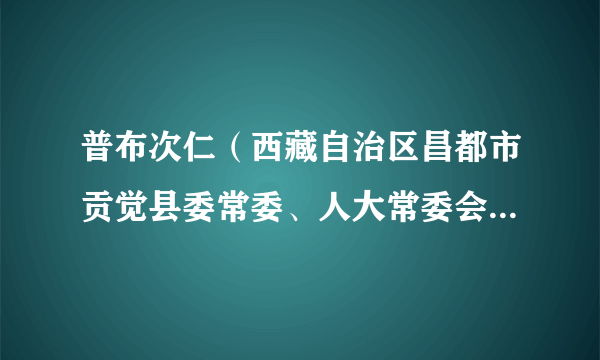 普布次仁（西藏自治区昌都市贡觉县委常委、人大常委会党组书记、主任、一级调研员）