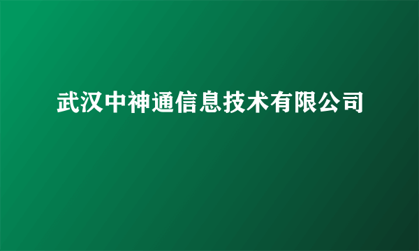 武汉中神通信息技术有限公司