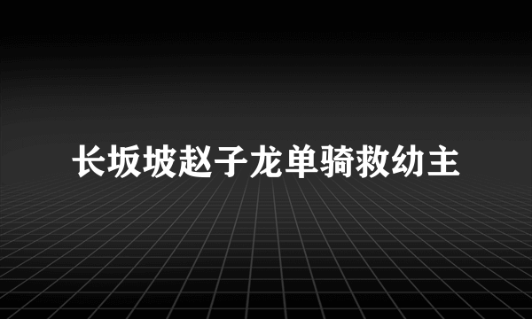 长坂坡赵子龙单骑救幼主