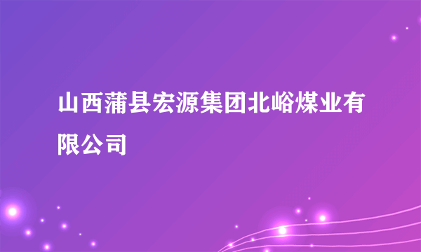 山西蒲县宏源集团北峪煤业有限公司