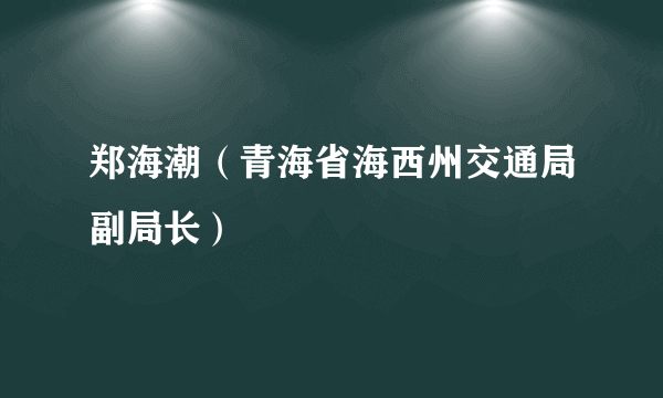 郑海潮（青海省海西州交通局副局长）