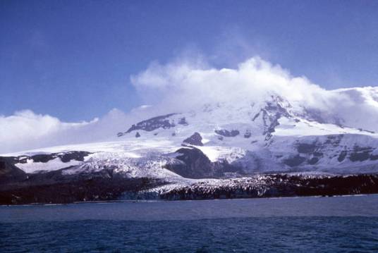 阿尔泰金山