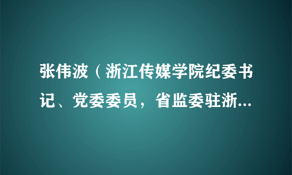 张伟波（浙江传媒学院纪委书记、党委委员，省监委驻浙江传媒学院监察专员）