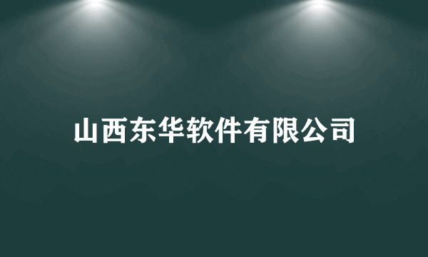 山西东华软件有限公司